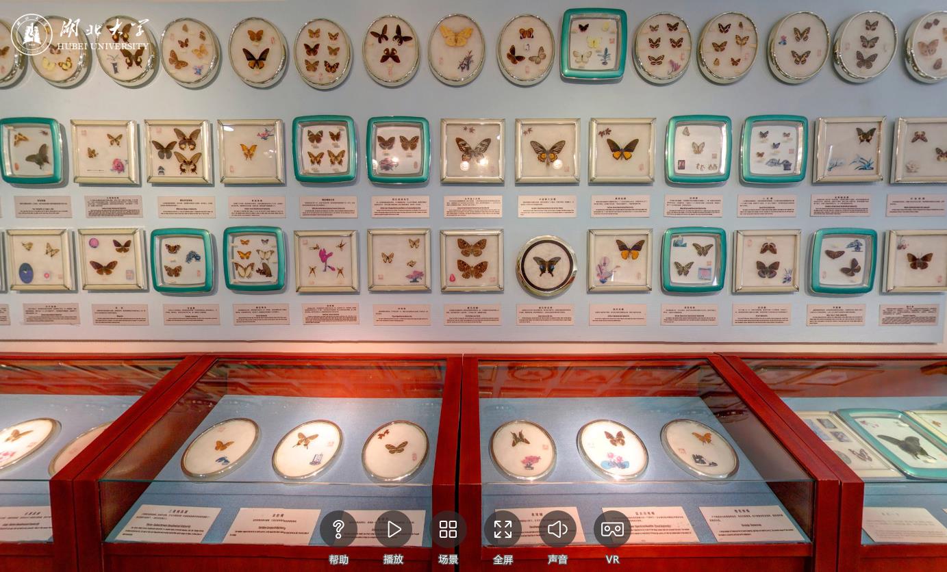 湖北大学三维全景虚拟博物馆